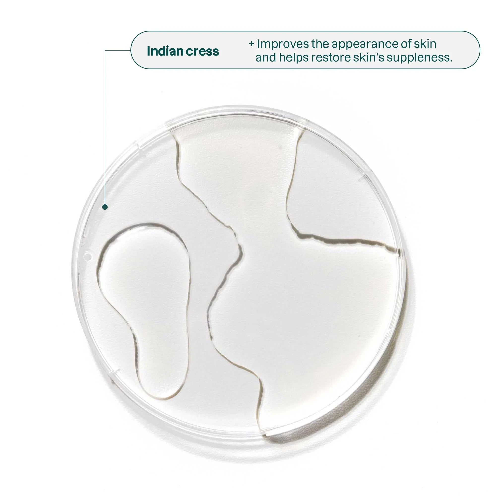 ATTITUDE Super leaves™ - Essential Oils  Hand Soap