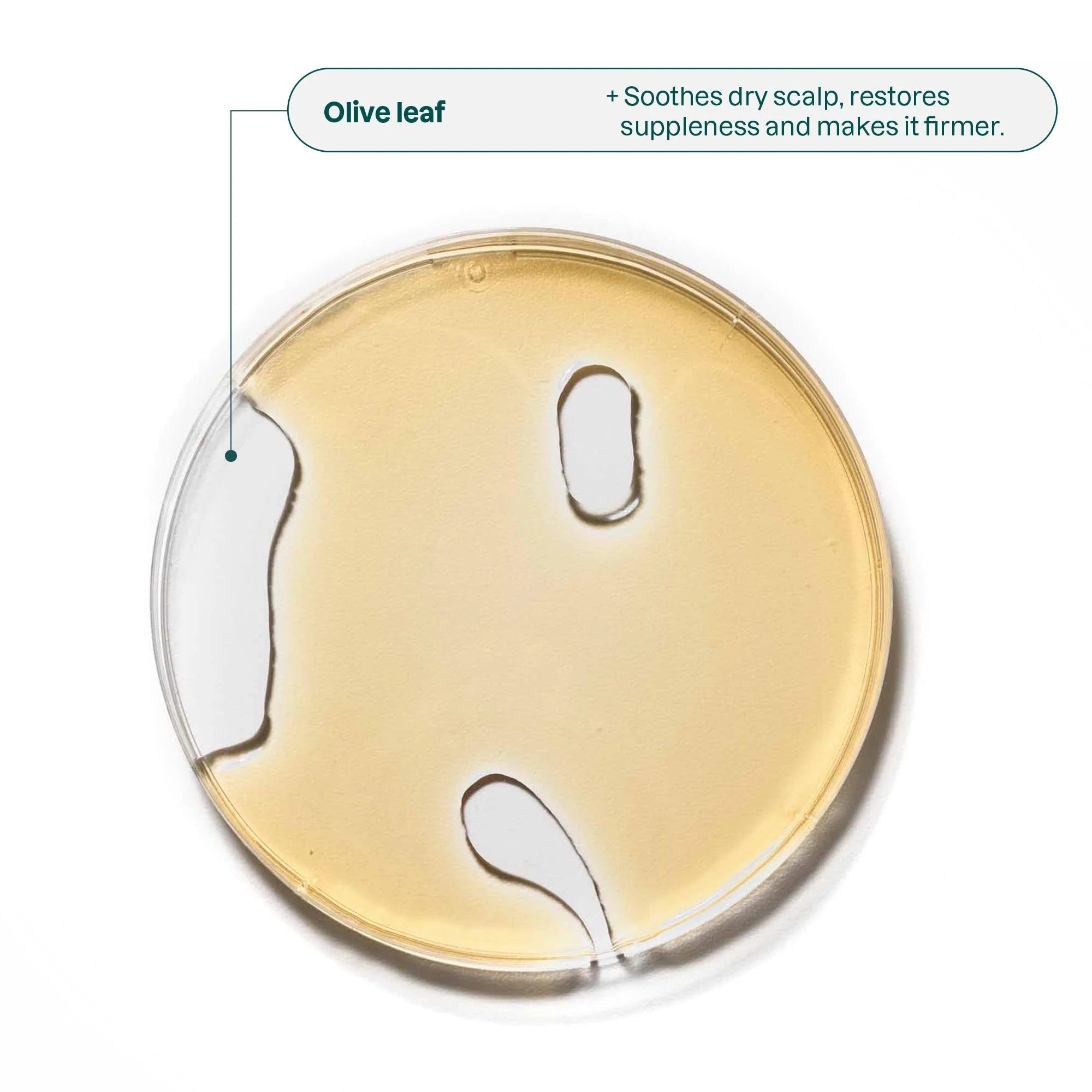 ATTITUDE Super leaves™ - Essential Oils Shampoo - Nourishing