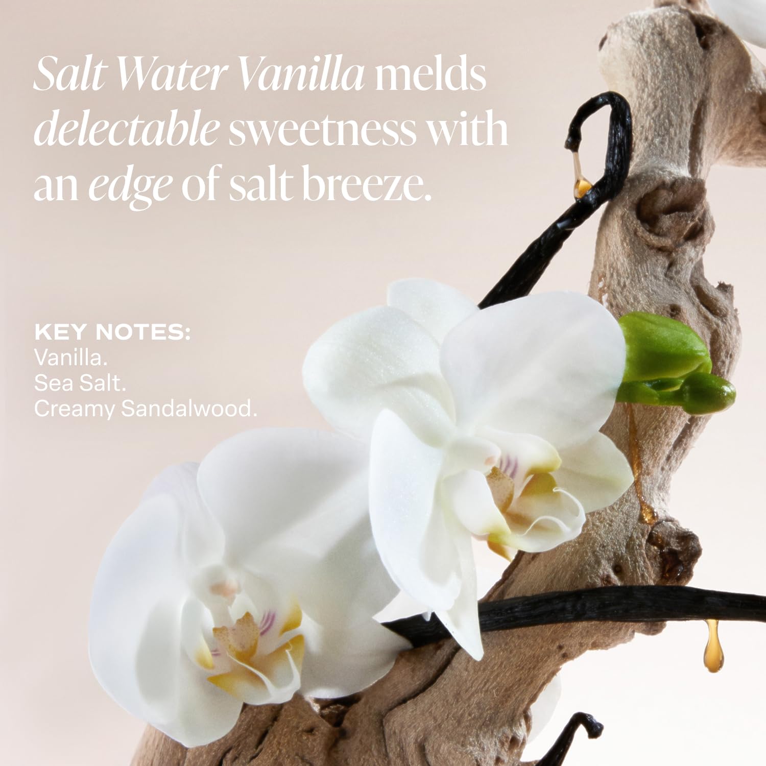 Saltair Salt Water Vanilla 5% AHA Serum Deodorant