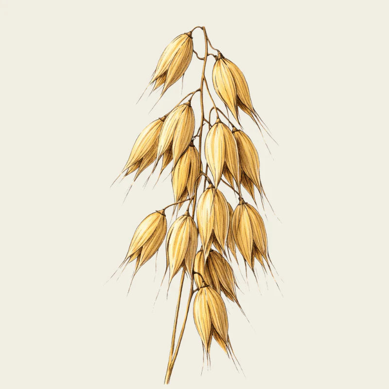 Oway Organics Silk'n Glow Anti-Frizz Serum