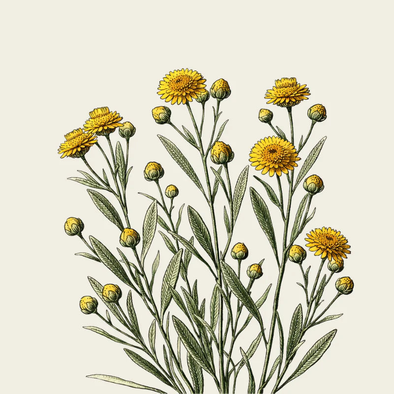 Oway Organics Soothing Hair Bath Shampoo