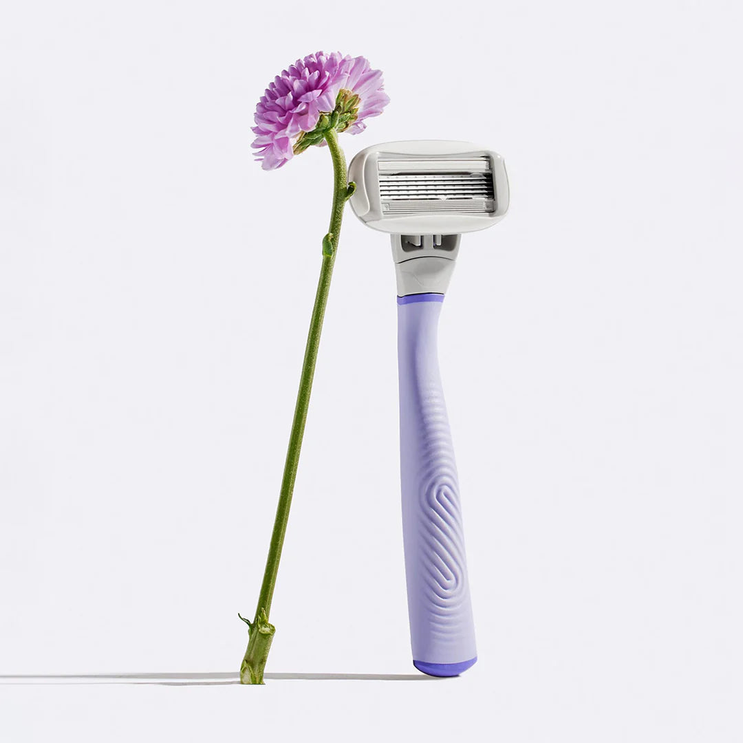 Flamingo Razor Lilac Flower