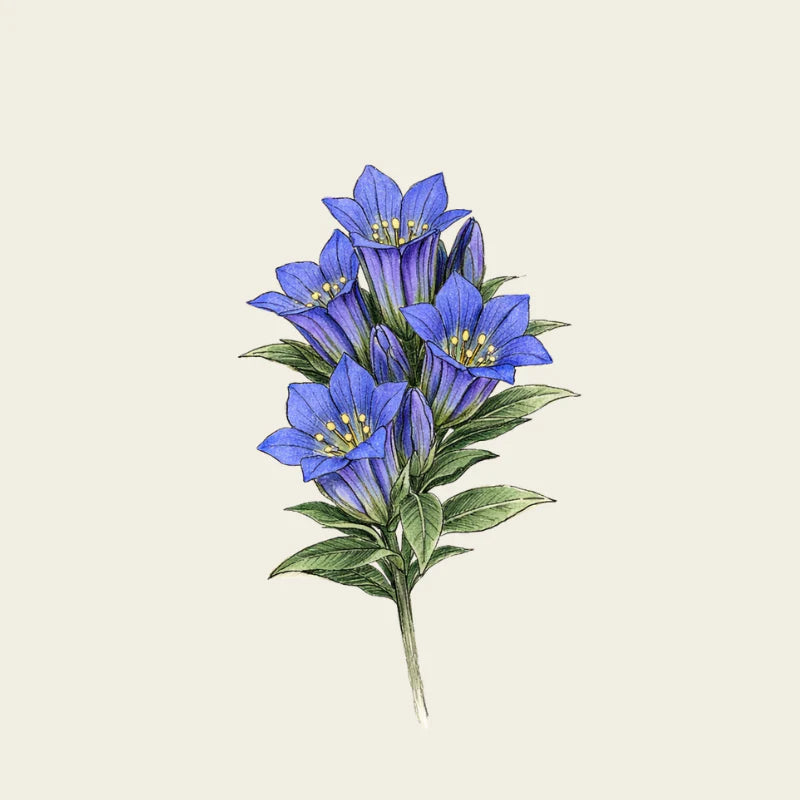 Oway Organics Bluemoon Hair Bath Anti-Yellow Shampoo