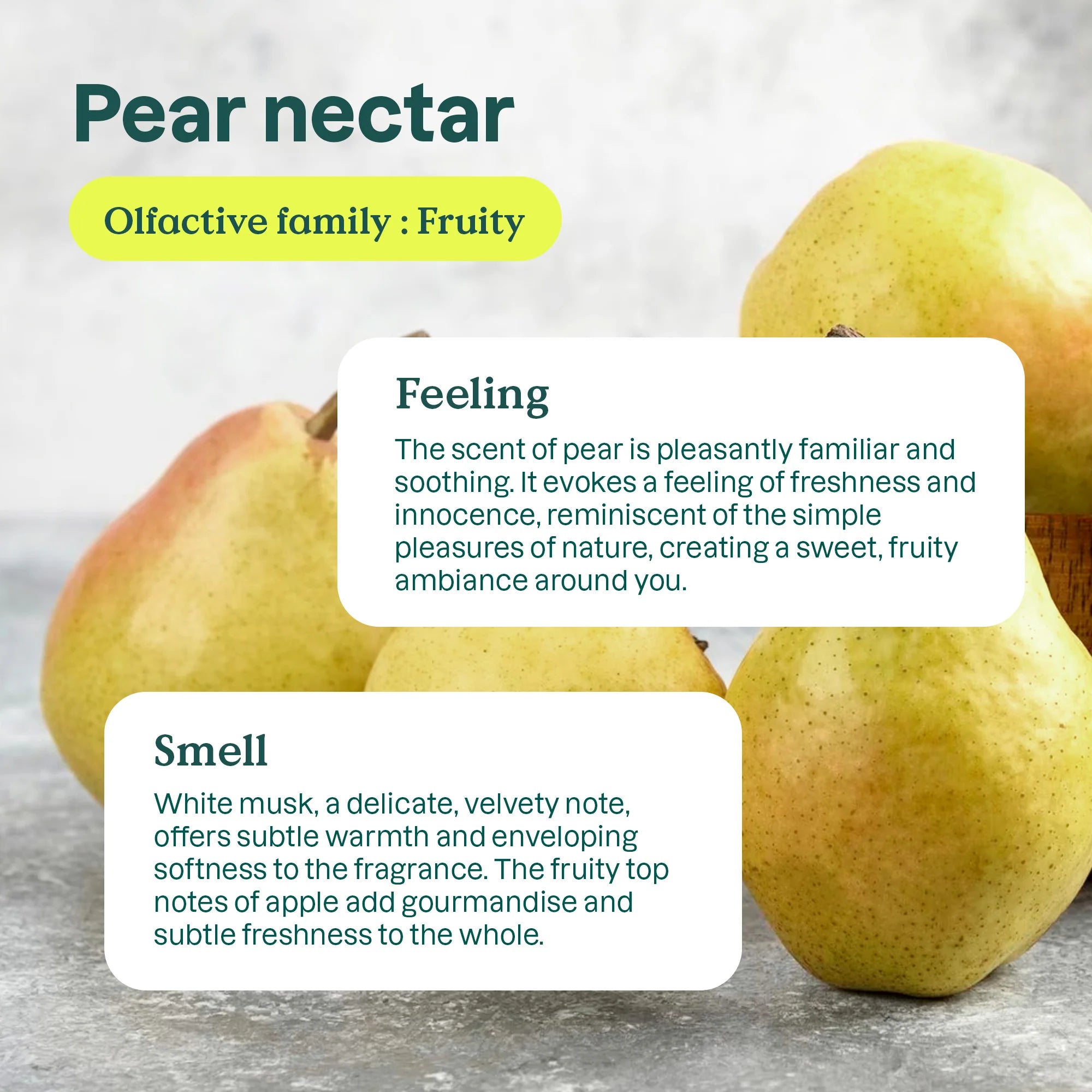 ATTITUDE Baby Leaves™ Laundry Detergent