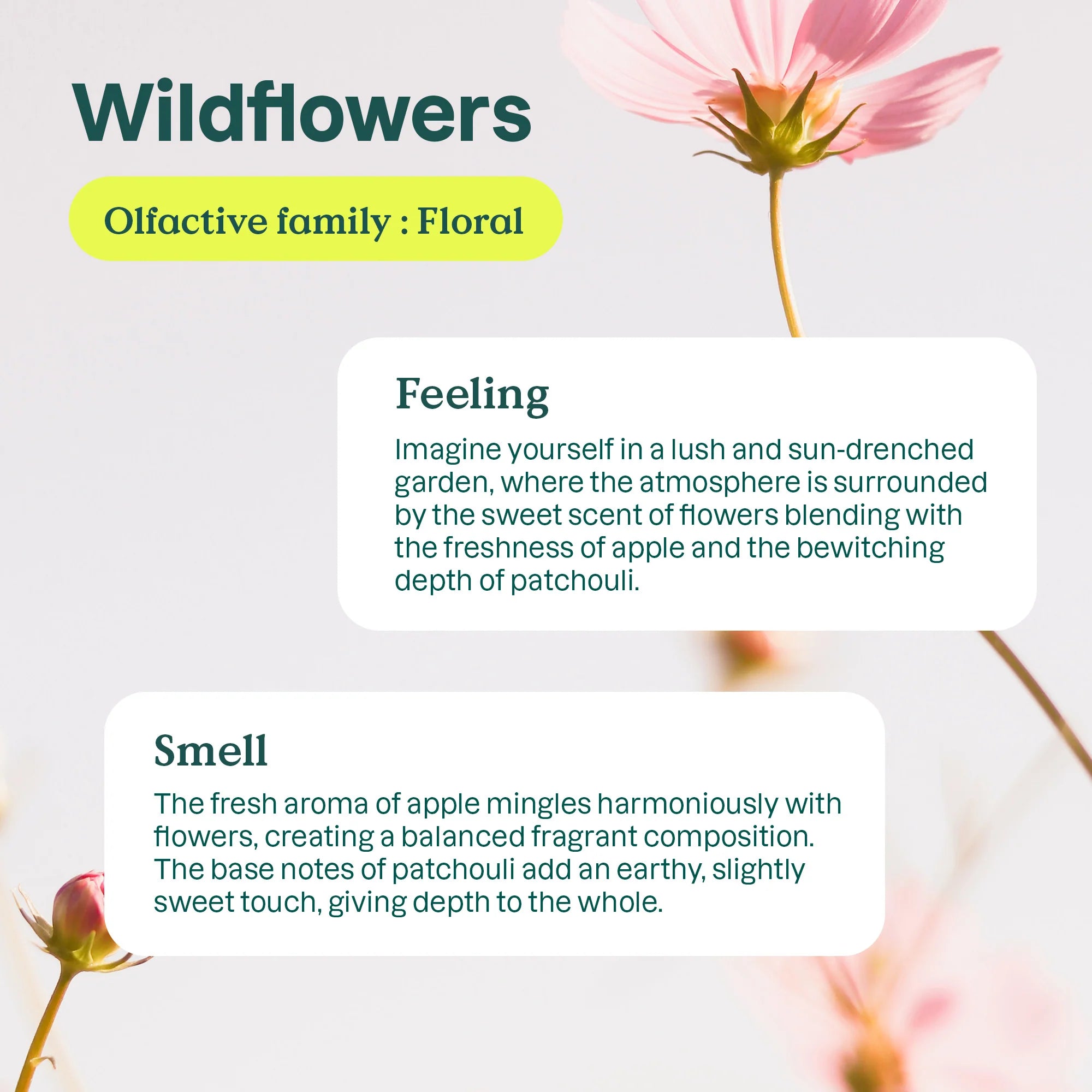 ATTITUDE Nature + Technology™  Laundry Detergent 35 Loads