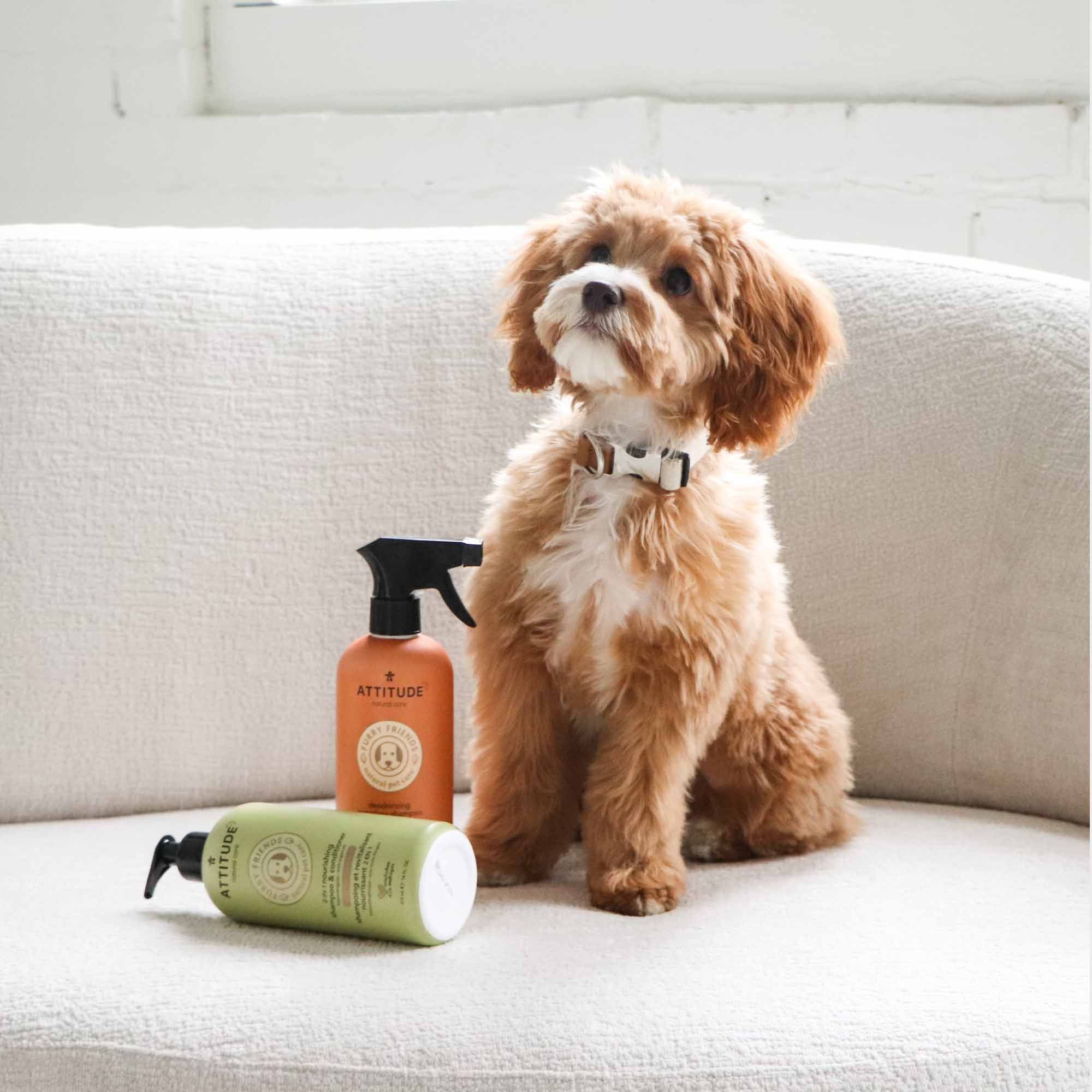 ATTITUDE Furry friends™  Deodorizing and Anti-Itching Waterless Shampoo