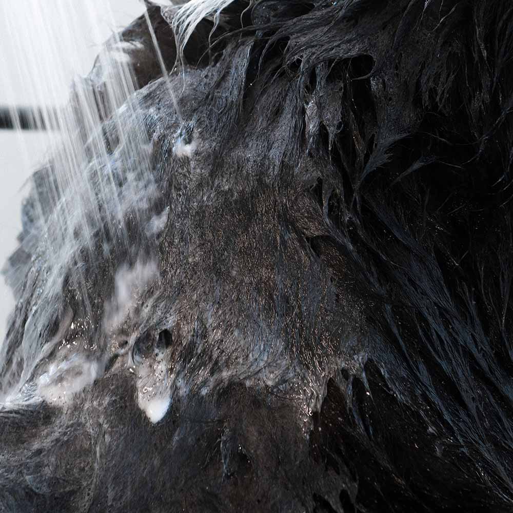 ATTITUDE Furry friends™  Deodorizing Shampoo for Pets